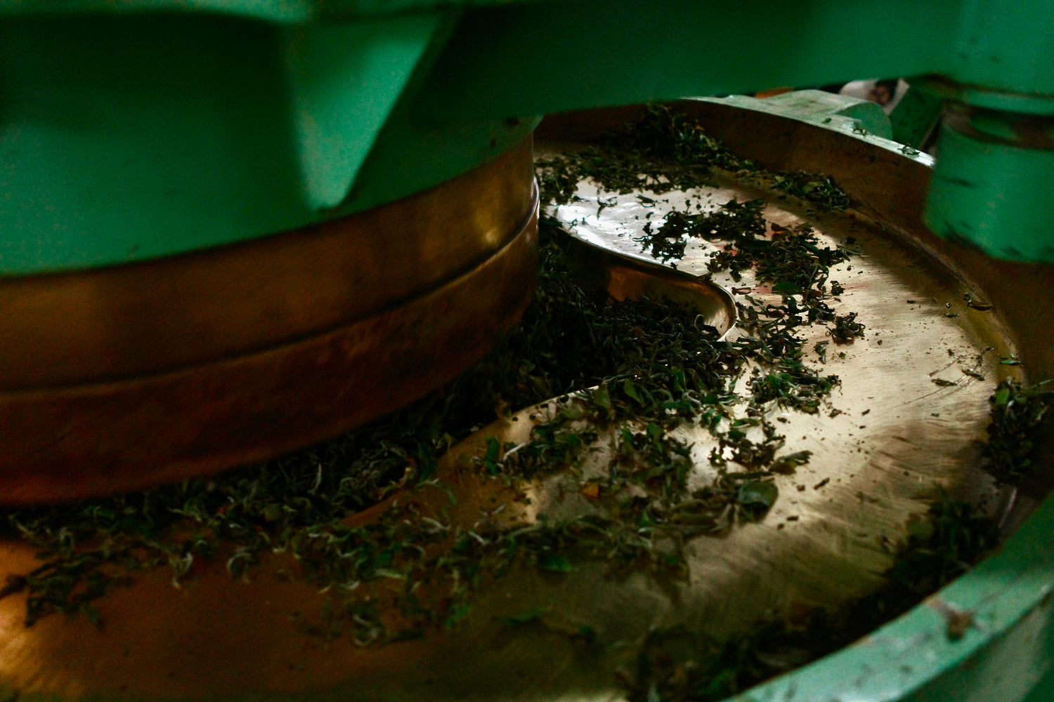 Tea Production at LaKyrsiew