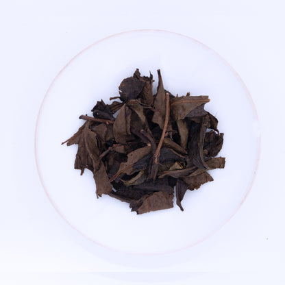 Japan - Tōzaka Chaen - Winter Hōjicha