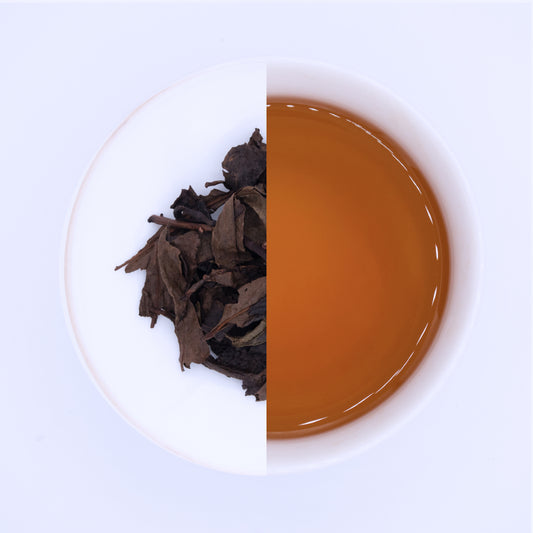 Japan - Tōzaka Chaen - Winter Hōjicha